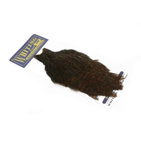 Grizzly dyed Coachman Brown