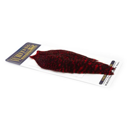 Grizzly dyed Red