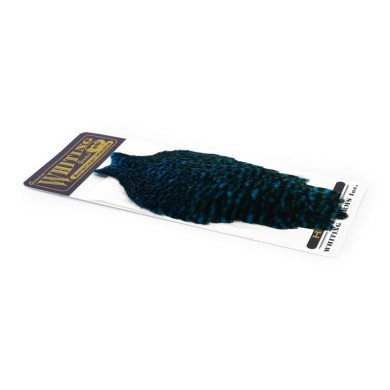 Grizzly dyed Kingfisher Blue