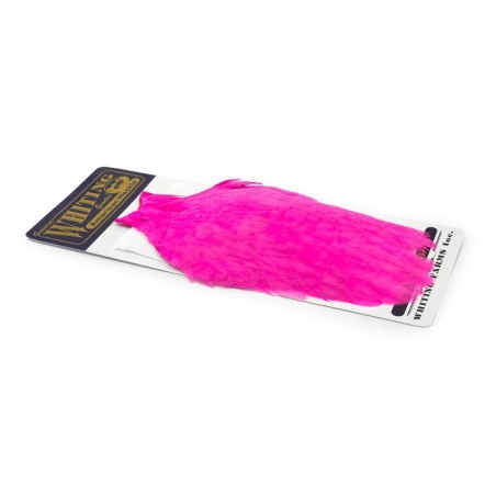 White dyed Pink
