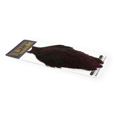Grizzly dyed Claret
