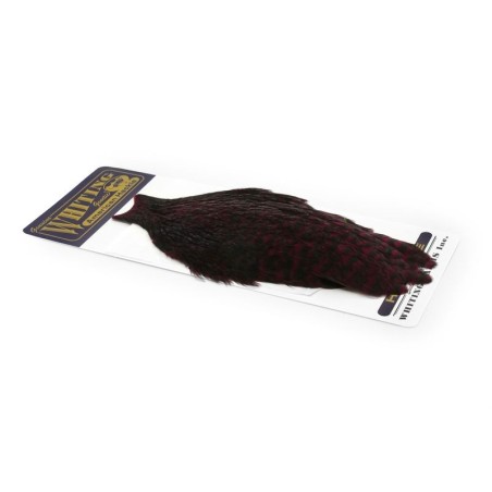 Grizzly dyed Claret