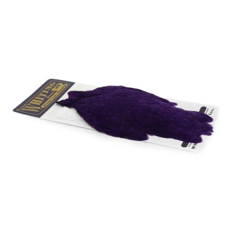 White dyed Purple