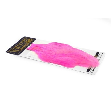 White dyed Shell Pink