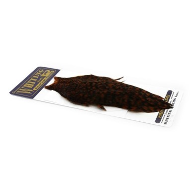 Grizzly dyed Brown