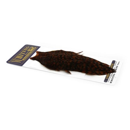 Grizzly dyed Brown