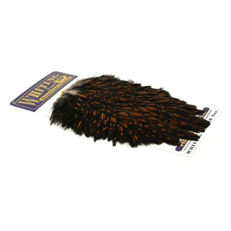 Black laced Brown
