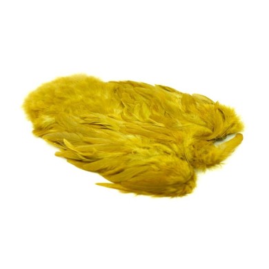 White dyed Golden Olive