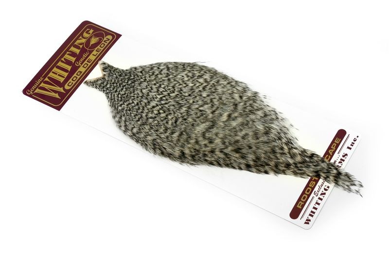 Whiting Farms Rooster Coq de Leon Cape - Photo 29/40
