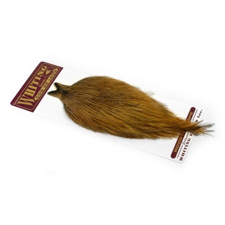 Ginger Badger