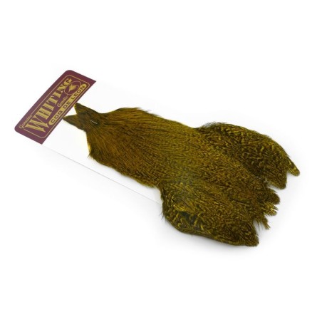 Speckled dyed Golden Olive