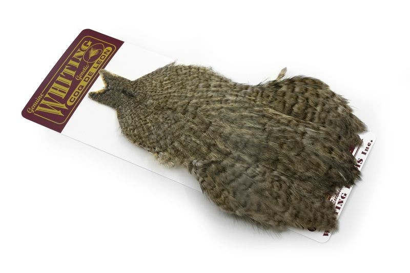 Whiting Farms Coq de Leon Hen Cape - Imagen 24 de 40