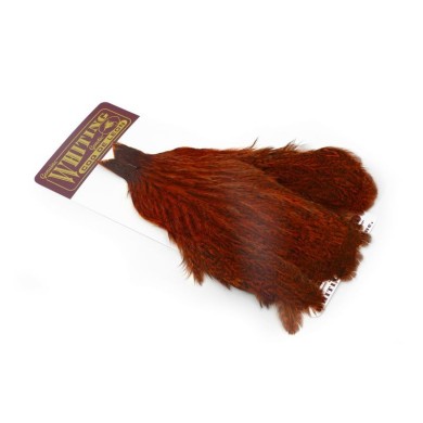 Speckled dyed Burnt Orange