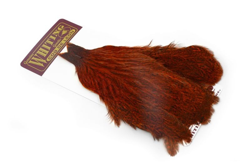 Whiting Farms Coq de Leon Hen Cape - Imagen 25 de 40