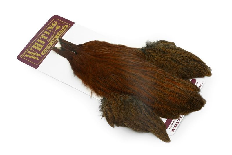 Whiting Farms Coq de Leon Hen Cape - Imagen 32 de 40