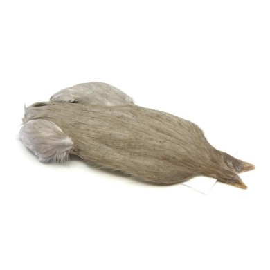White dyed Medium Dun