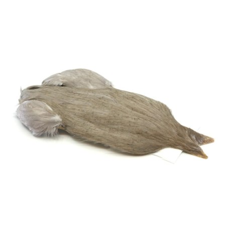 White dyed Medium Dun