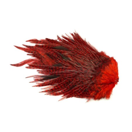 Grizzly dyed Red