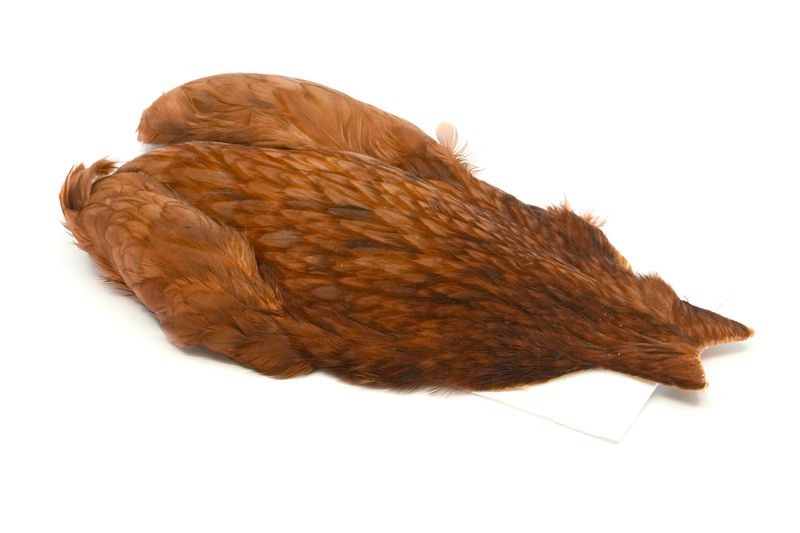 Whiting Farms 4 B's Hen Cape - Imagen 13 de 24
