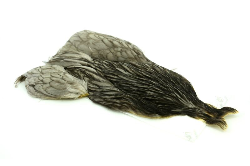 Whiting Farms 4 B's Hen Cape - Imagen 14 de 24