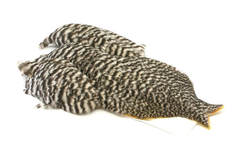 Whiting Farms 4 B's Hen Cape - Imagen 15 de 24