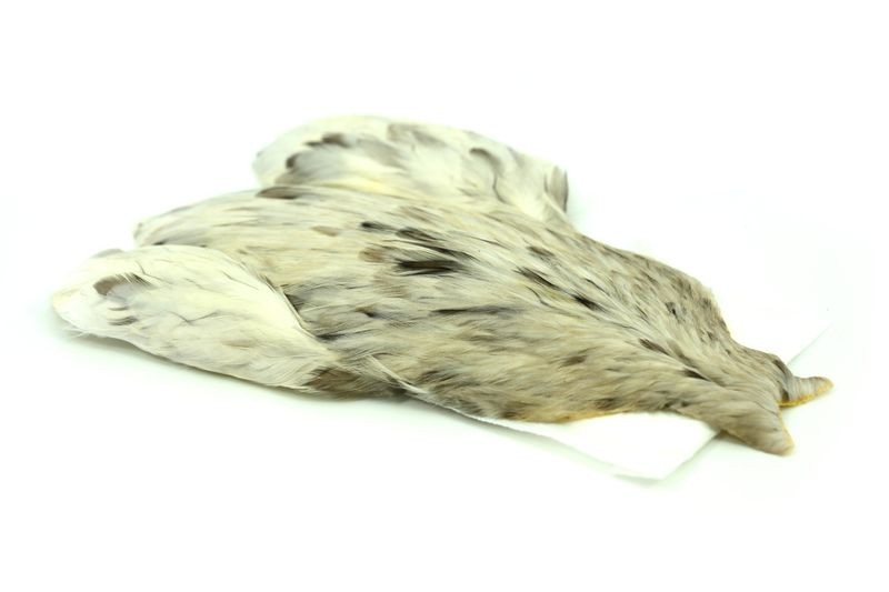 Whiting Farms 4 B's Hen Cape - Imagen 16 de 24