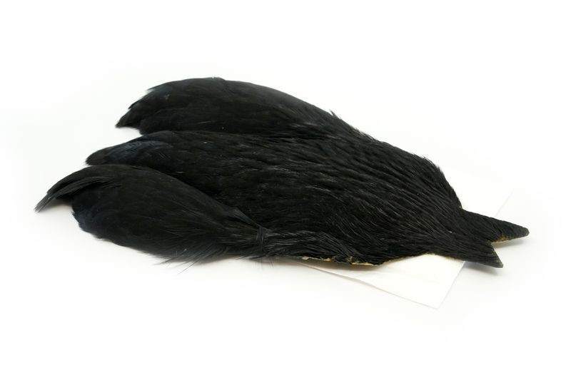 Whiting Farms 4 B's Hen Cape - Imagen 18 de 24