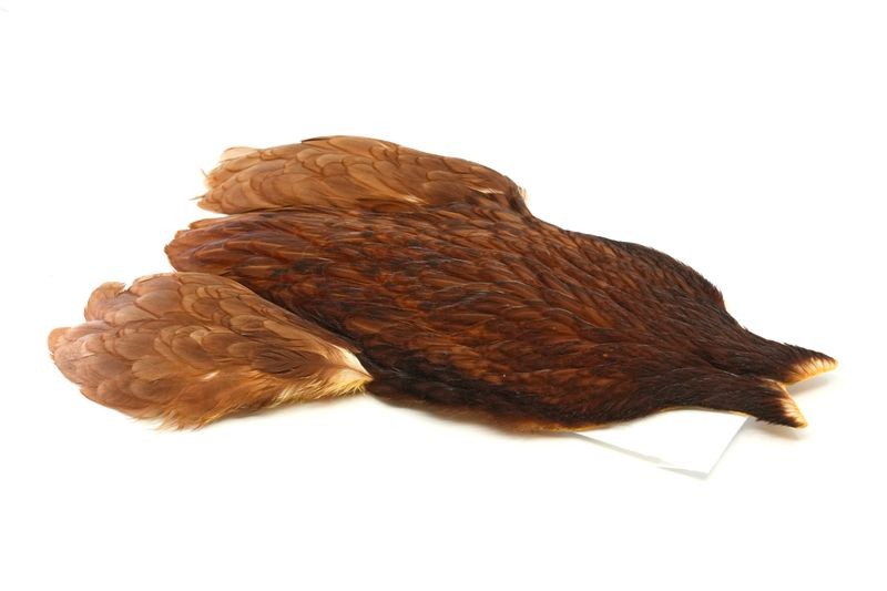 Whiting Farms 4 B's Hen Cape - Imagen 19 de 24