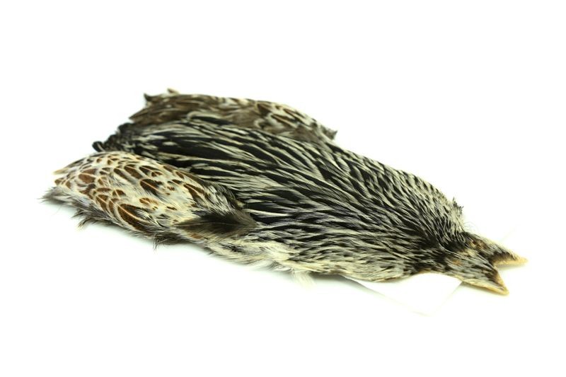 Whiting Farms 4 B's Hen Cape - Imagen 20 de 24