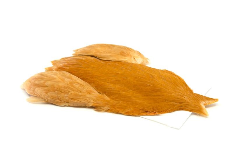 Whiting Farms 4 B's Hen Cape - Imagen 21 de 24