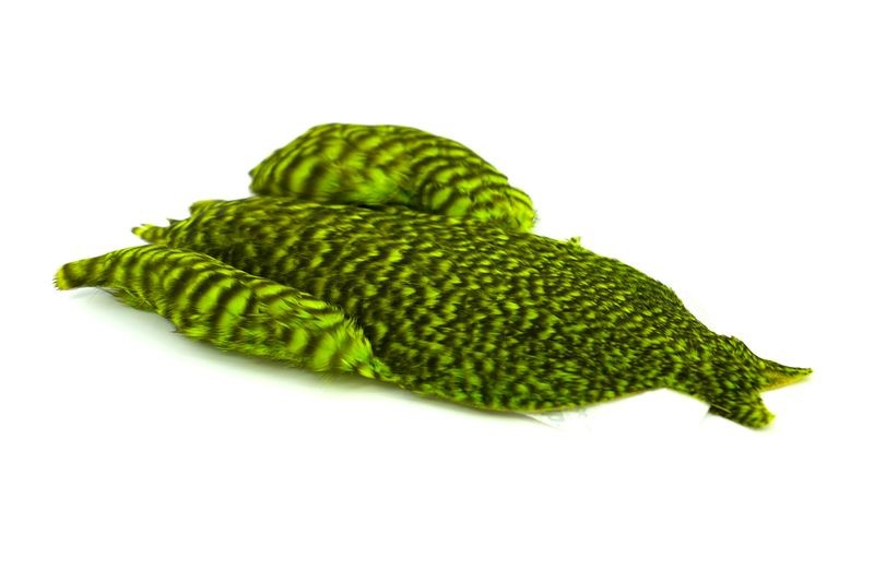 Whiting Farms 4 B's Hen Cape - Imagen 22 de 24
