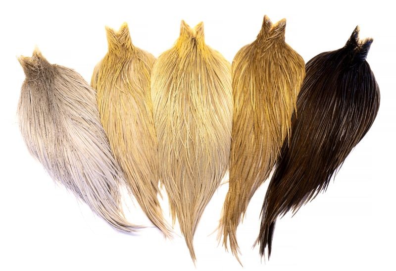 Whiting Farms Heritage Rooster Hackle Cape - Imagen 9 de 12