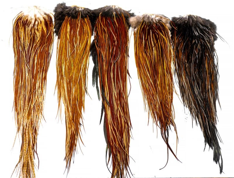 Whiting Farms Heritage Rooster Hackle Saddle - Picture 7 of 12