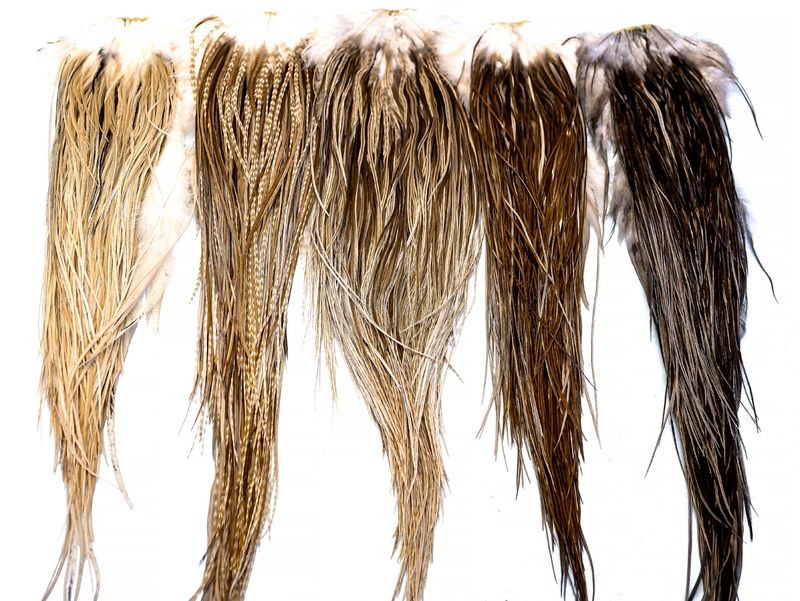 Whiting Farms Heritage Rooster Hackle Saddle - Picture 9 of 12