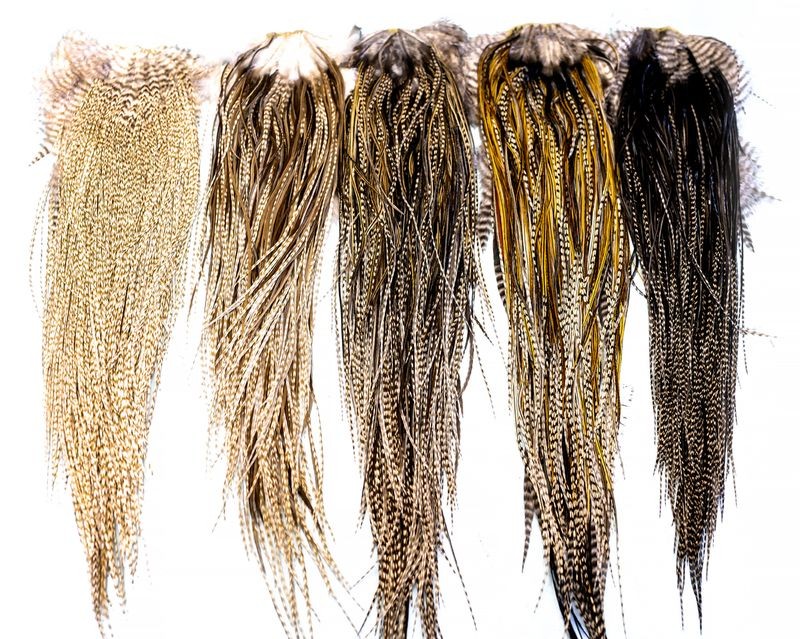 Whiting Farms Heritage Rooster Hackle Saddle - Picture 12 of 12