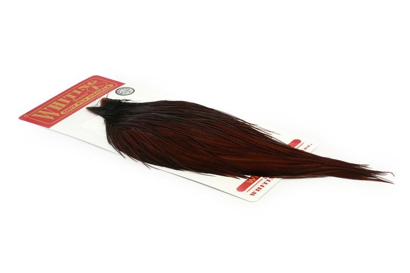 Whiting Farms Rooster Silver Cape - Imagen 25 de 52