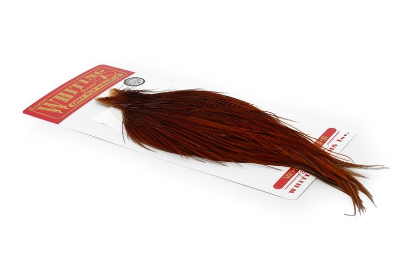 Whiting Farms Rooster Silver Cape - Imagen 26 de 52