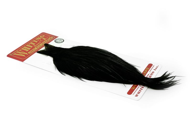 Whiting Farms Rooster Silver Cape - Imagen 28 de 52