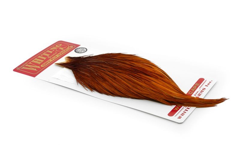 Whiting Farms Rooster Silver Cape - Imagen 29 de 52