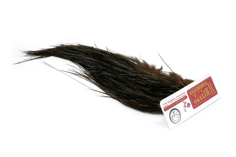 Whiting Farms Rooster Silver Saddle - Imagen 23 de 57