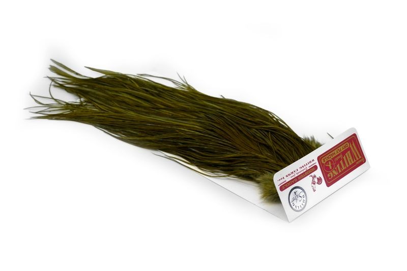 Whiting Farms Rooster Silver Saddle - Imagen 32 de 57