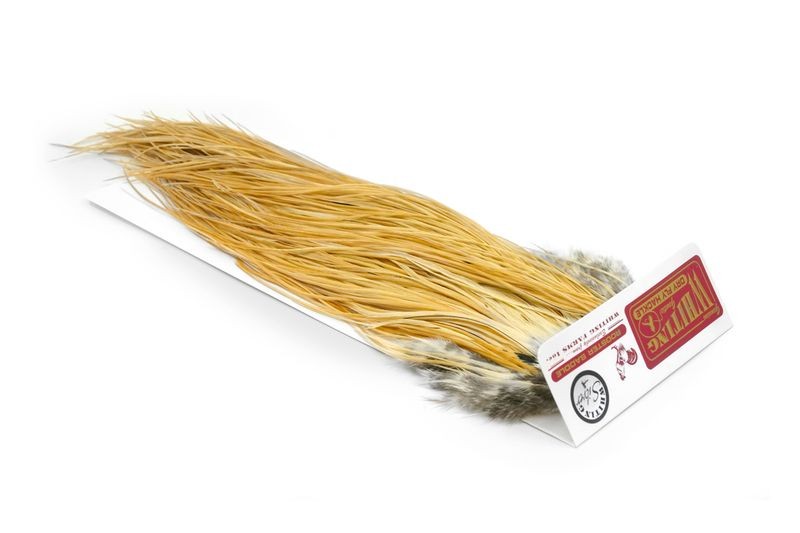 Whiting Farms Rooster Silver Saddle - Imagen 36 de 57