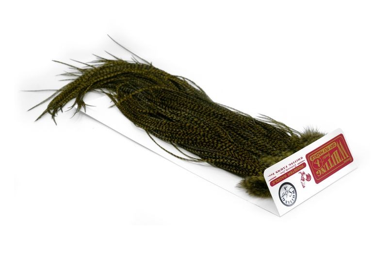 Whiting Farms Rooster Silver Saddle - Imagen 39 de 57