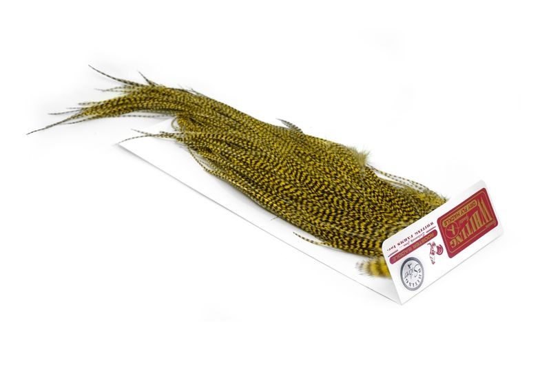 Whiting Farms Rooster Silver Saddle - Imagen 42 de 57