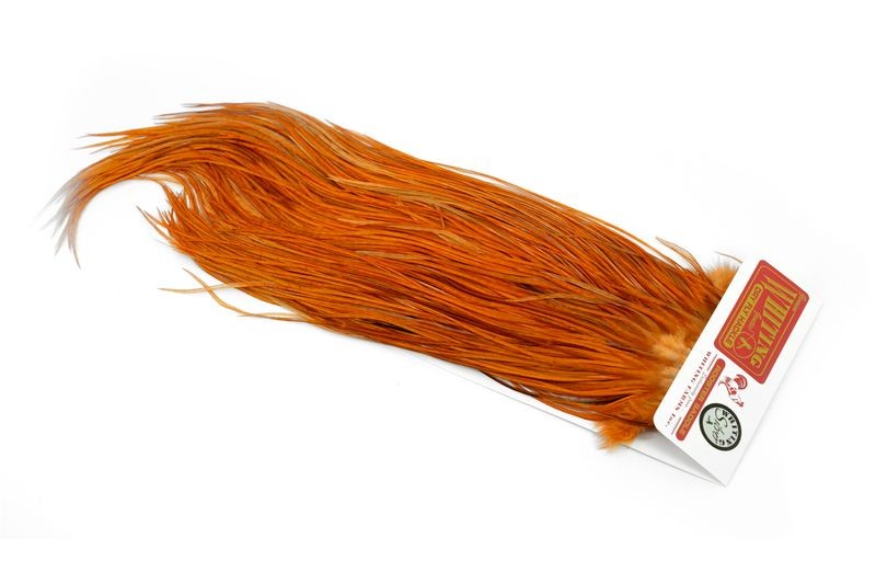 Whiting Farms Rooster Silver Saddle - Imagen 47 de 57
