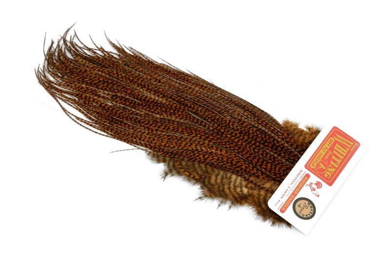Whiting Farms Rooster Bronze Saddle - Imagen 23 de 52