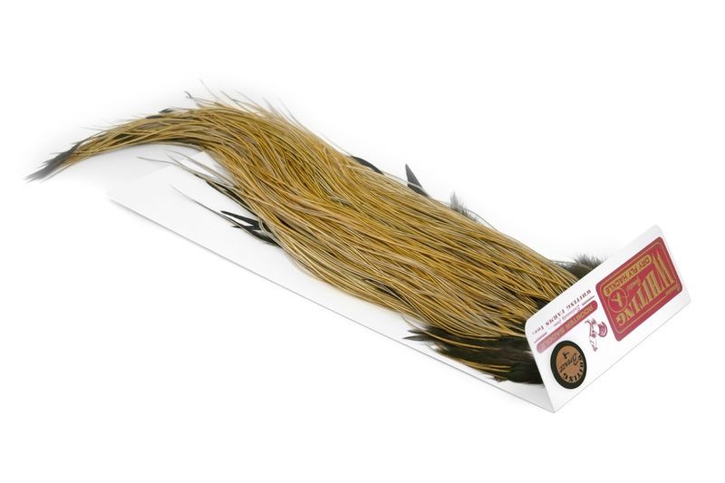 Whiting Farms Rooster Bronze Saddle - Imagen 27 de 52