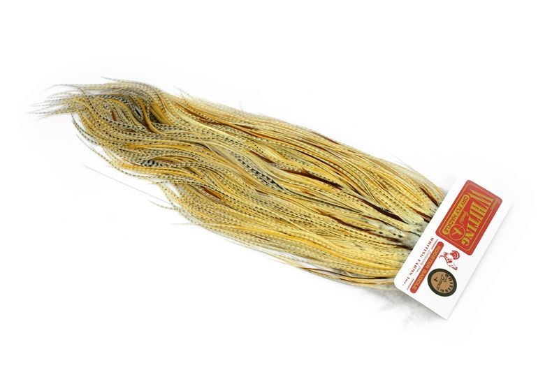 Whiting Farms Rooster Bronze Saddle - Imagen 32 de 52