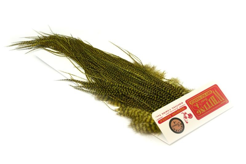 Whiting Farms Rooster Bronze Saddle - Imagen 33 de 52
