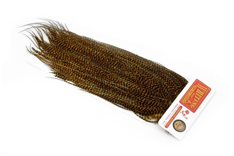 Whiting Farms Rooster Bronze Saddle - Imagen 35 de 52